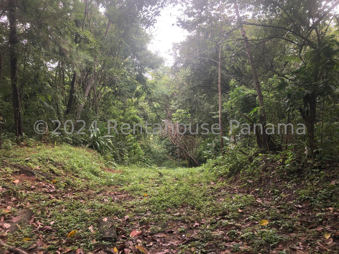 Land for Sale in Panama City Panamá Province 07104